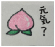 885271195