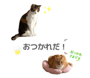 885274184
