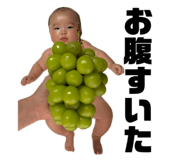 885275905