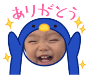 885277628