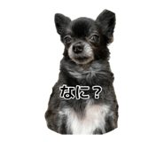 885279431