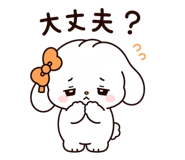 885281560