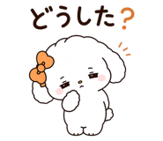 885281568