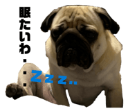 885287674