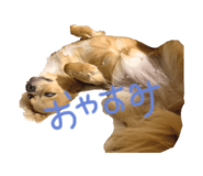 885299753