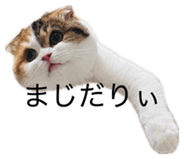 885300515