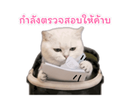 885301556