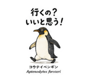 885308565