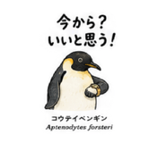 885308567