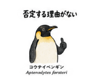 885308593