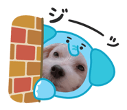 885316632