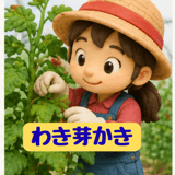 885325213