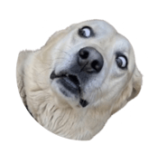 885327119