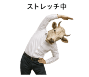 885343484