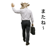885343504