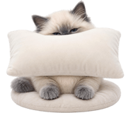 885346232