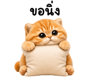 885346803