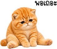 885346815