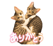 885348771