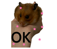885356250