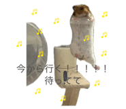 885356255