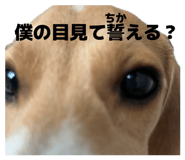 885358062