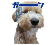 885361019