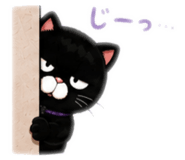 885361666