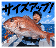 885366247