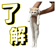 885366297
