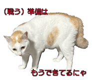 885366305