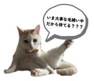 885366310