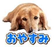 885371498