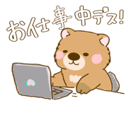 885380600