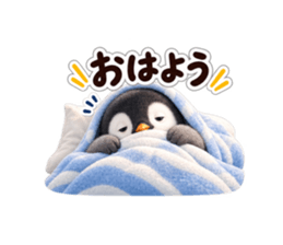 ペンギン先輩 おはよう の実物LINEスタンプ