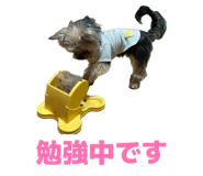 885400491