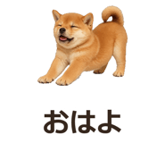 885405081