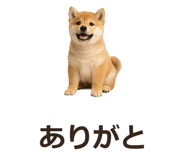 885405083