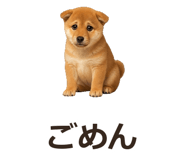 885405084