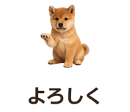 885405085