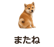 885405086