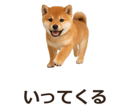 885405088