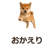885405089