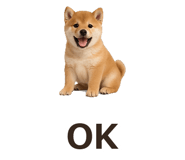 885405090