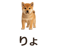 885405091