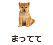 885405092