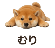 885405094