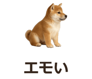 885405096