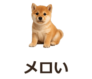 885405097