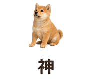 885405098